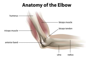elbow preservation